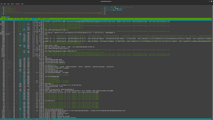 Sart9 Htop Screenshot from 2025-10-08